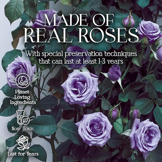 GLAMOUR BOUTIQUE Preserved Roses in a Box - Gifts for Her, Wife & Mom, Rose Flowers Forever Decor for Birthday Gift, Get Well Flower Bouquet Cased in White Box with Cover - Purple - 16-Piece