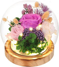 Eternal Rose Flowers, Unique Rose Preserved Flower Rose Gifts in Glass Dome for Women, Mom, Girlfriend,Home Decor Gifts for Birthday, Anniversary, Christmas, Wedding.