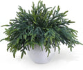 100 Pcs Pine Branches - Real Touch Artificial Pine Stems - Christmas Greenery Picks for DIY Wreaths Garlands Vase Arrangements, Indoor Outdoor Christmas Decor