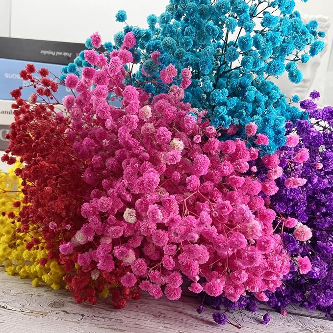 Preserved Baby's Breath, 100% Natrual Gypsophila Long Lasting Flowers for Vase Arrangements Home Decoration Photo Props Parties and Weddings, DIY Décor-Yellow