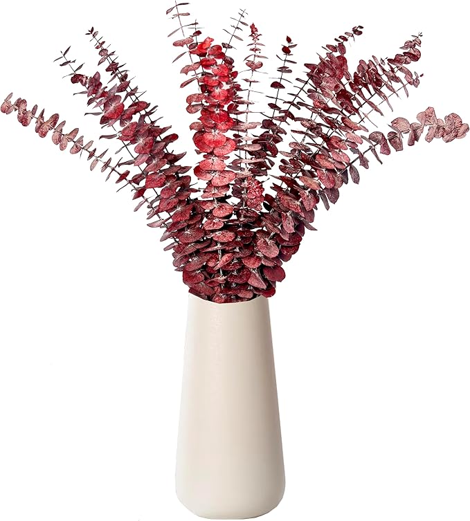 (20Pcs) Dried Eucalyptus Stems - Red, Fall Decorations for Home, Real Long Eucalyptus, Dried Flowers for Vase, 17" Floral Arrangement, Wedding