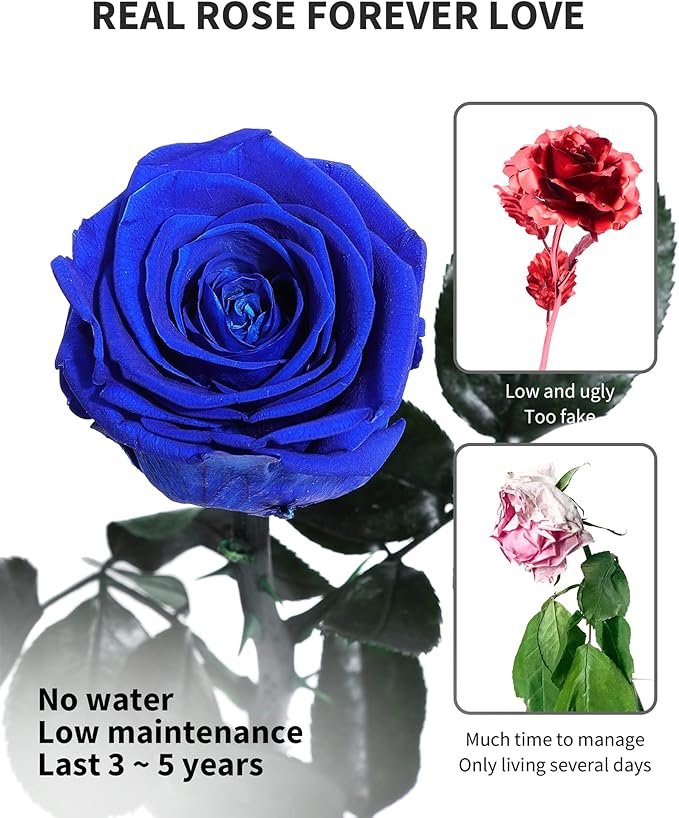 Blue Flowers for Delivery Prime, Preserved Blue Roses Flower Gifts for Women, Real Roses Single Rose Gifts for Her, Mom Birthday Gifts from Daughter, Valentines Flowers