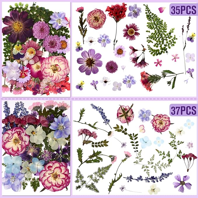 Nuanchu 167 Pcs Real Dried Pressed Flowers Natural Dried Flowers Colorful Daisy Mixed Wildflowers Leave for DIY Candle Resin Nails Jewelry Pendant Crafts Floral Art(Purple,Elegant Style)