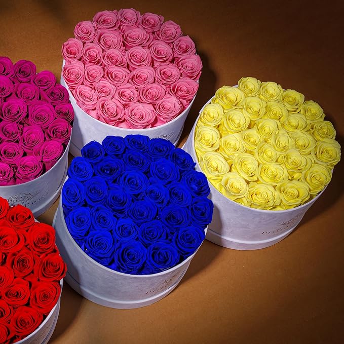 27 Roses in a Luxury Suede Box, Mother Day Flowers Gifts for Mom, Preserved Flowers for Her, Birthday Gifts for Women, Yellow