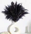 Black Pampas Grass for Home Decor - Elegant Boho Decor - Premium Quality Pampas Grass Stems - Perfect for House, Nursery, Western, Wedding, Table, and Bohemian Decor (20PCS)
