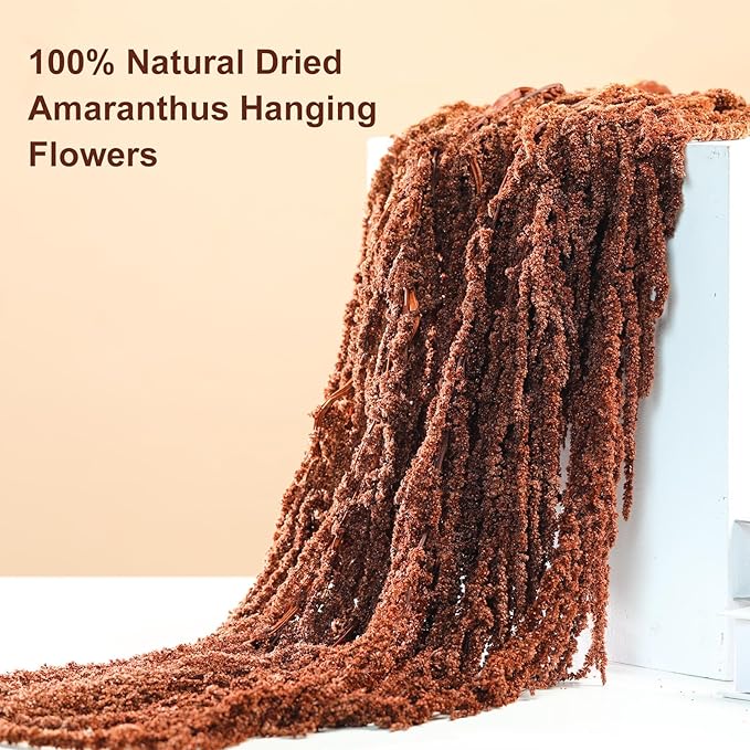 5Pcs Dried Amaranthus Hanging Flowers, 23" Brown Preserved Natural Wisteria for Wedding Arch, Fall Thanksgiving, Table Centerpiece, Wall Hanging Lover Tears, Floral Arrangement, Farmhouse Decor