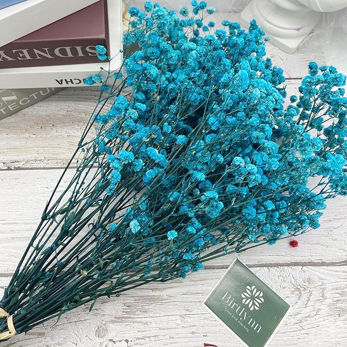 Preserved Baby's Breath, 100% Natrual Gypsophila Long Lasting Flowers for Vase Arrangements Home Decoration Photo Props Parties and Weddings, DIY Décor-Blue