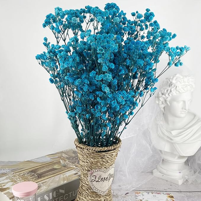 Preserved Baby's Breath, 100% Natrual Gypsophila Long Lasting Flowers for Vase Arrangements Home Decoration Photo Props Parties and Weddings, DIY Décor-Blue