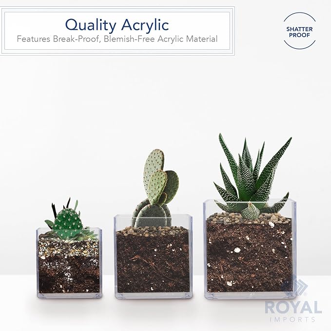 Royal Imports Flower Acrylic Vases Cubes, Decorative Centerpiece for Home or Wedding, Non Breakable Plastic, 5x5 - Clear