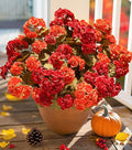 Fake Geraniums Artificial Flowers for Outdoors Fall Autumn Decoration, 6 Bundles Silk Geraniums Look Real Faux Fall Flowers Plants for Front Door Garden Planter Patio Balcony Yard Home Indoor, Mix