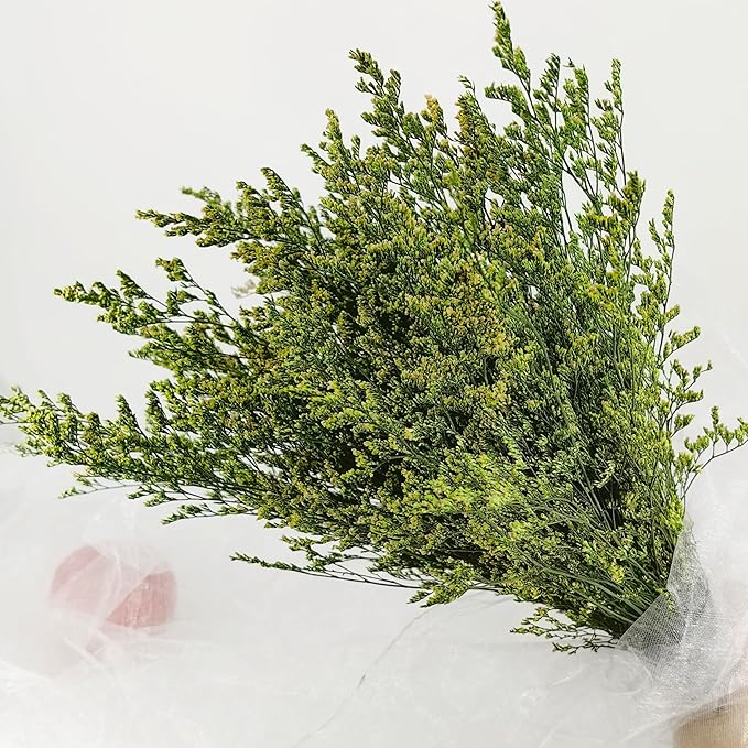 Birtlynn Preserved Caspia Statice Flower Bouquets, 100% Natural Long Lasting Flowers, 17 Inch Arrangements for Vase, Home Decoration Photo Props Parties and Weddings, DIY Décor-Statice Green