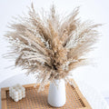 WILD AUTUMN Fluffy Boho Decor Dried Grass - Dried Pampas Grass Short pompas Grass Vase Filler Dried Flowers Wedding Home Table Rustic Farmhouse Decor