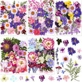 Nuanchu 167 Pcs Real Dried Pressed Flowers Natural Dried Flowers Colorful Daisy Mixed Wildflowers Leave for DIY Candle Resin Nails Jewelry Pendant Crafts Floral Art(Purple,Elegant Style)