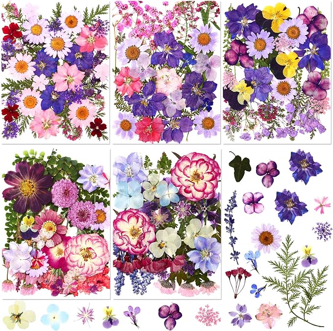 Nuanchu 167 Pcs Real Dried Pressed Flowers Natural Dried Flowers Colorful Daisy Mixed Wildflowers Leave for DIY Candle Resin Nails Jewelry Pendant Crafts Floral Art(Purple,Elegant Style)