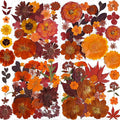 141PCS Brown Fall Dried Pressed Flowers for Resin - YouthBro Real Nature Flowers Butterfly Stikers Set for Christmas DIY Candle Soap Vase Making Nail Card Scrapbook Art Craft Floral Decors
