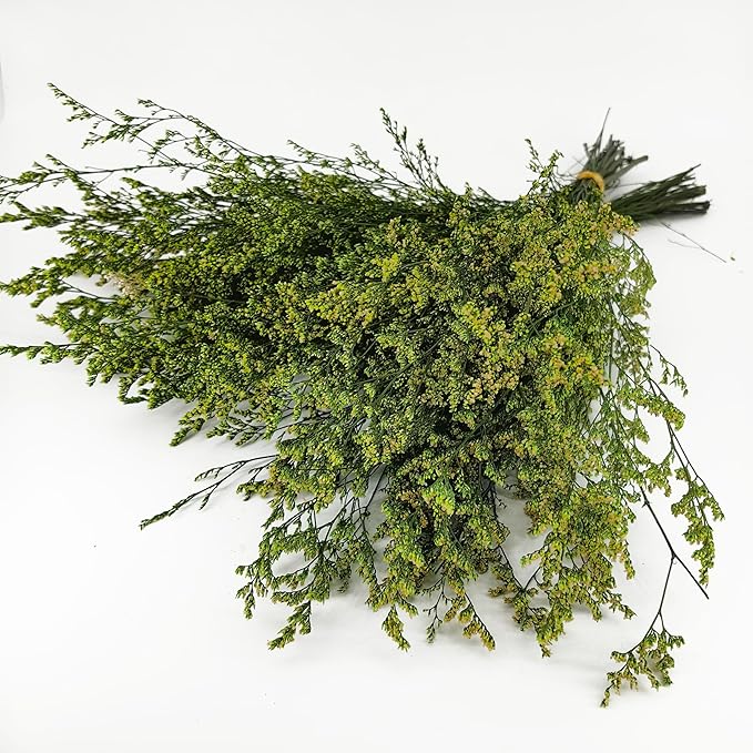 Birtlynn Preserved Caspia Statice Flower Bouquets, 100% Natural Long Lasting Flowers, 17 Inch Arrangements for Vase, Home Decoration Photo Props Parties and Weddings, DIY Décor-Statice Green