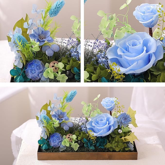 Christmas Flowers Roses Gifts for Mom,Forever Real Preserved Rose in Glass Dome,Christmas Roses Gifts for Women Grandma Wife Mother in Law