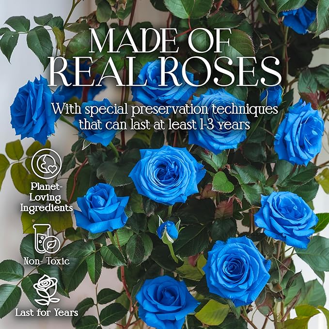 GLAMOUR BOUTIQUE Preserved Roses in a Box - Gifts for Her, Wife & Mom, Rose Flowers Forever Decor for Birthday Gift, Get Well Flower Bouquet Cased in White Box with Cover - Blue - 16-Piece